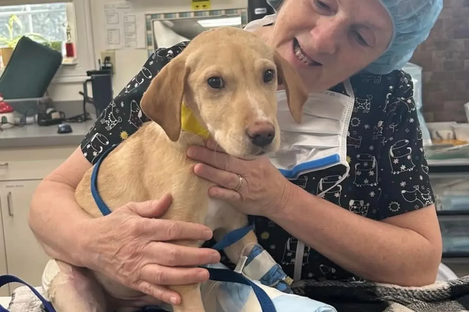 위스키, 동물병원 방문