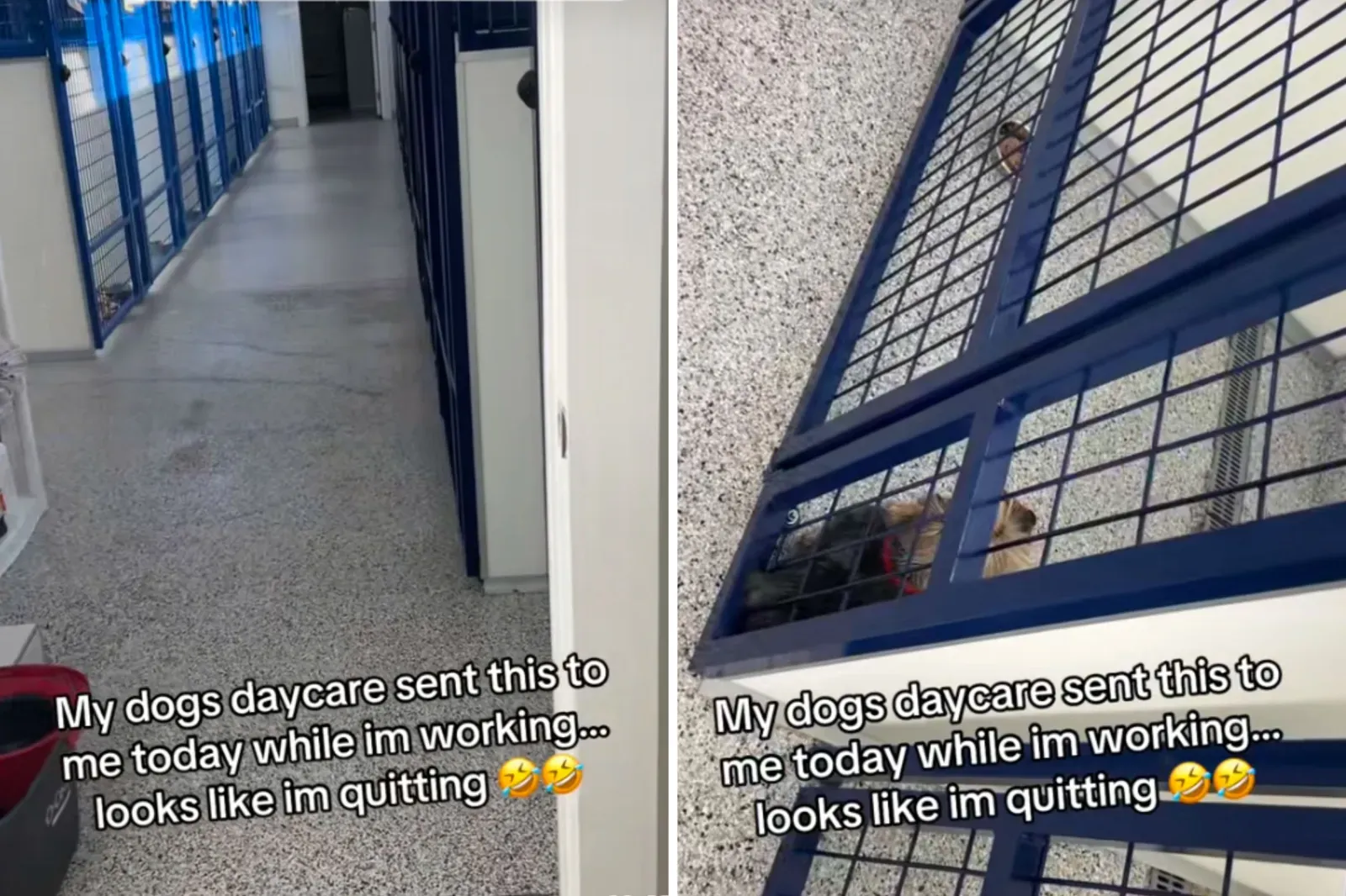 요키가 낮간장한 모습