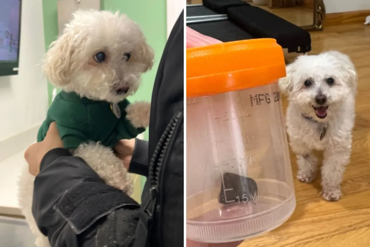 놀란 여성, 6천 달러 진료비