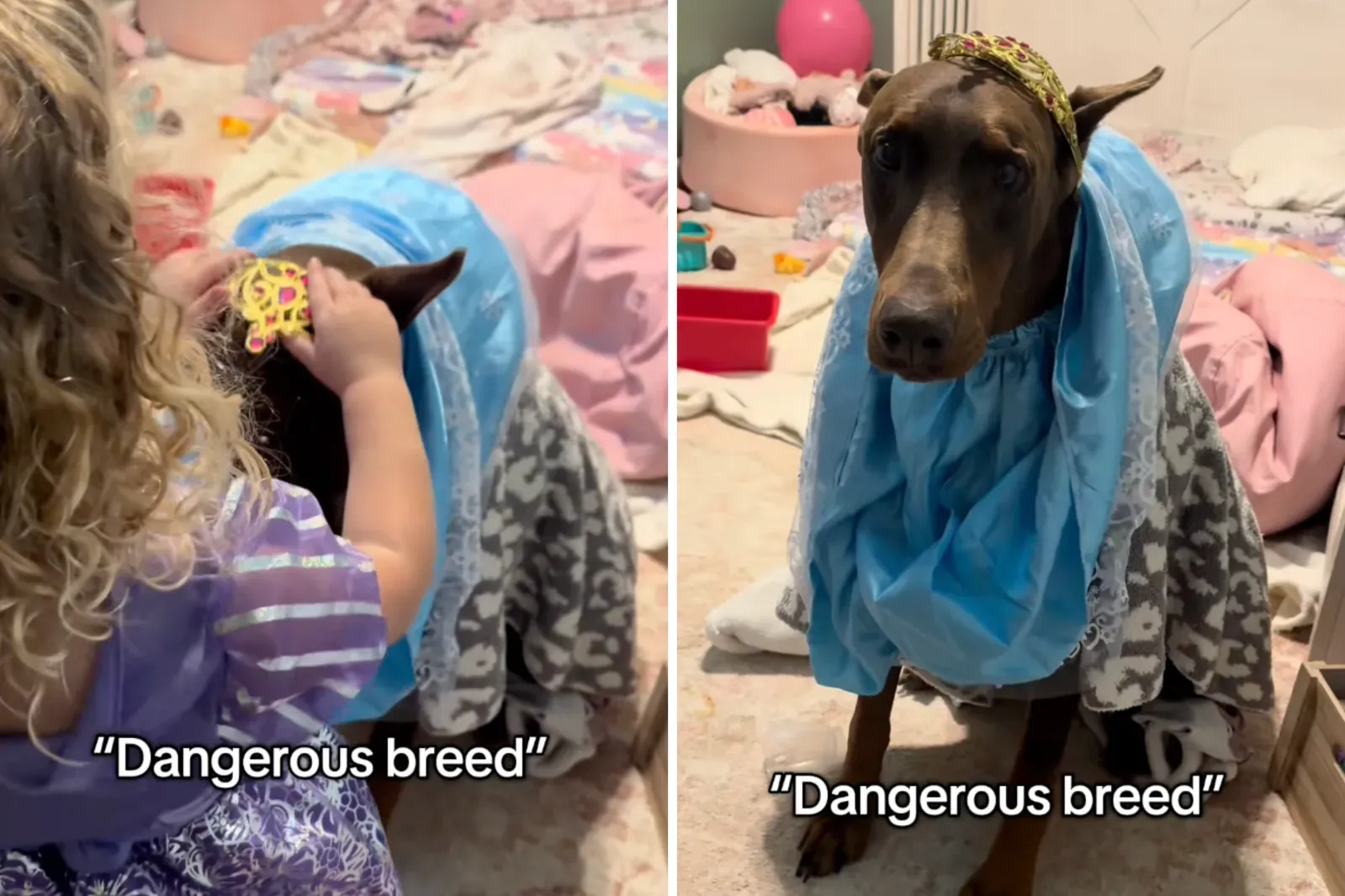 엘리, 디젤에게 왕관 씌우기